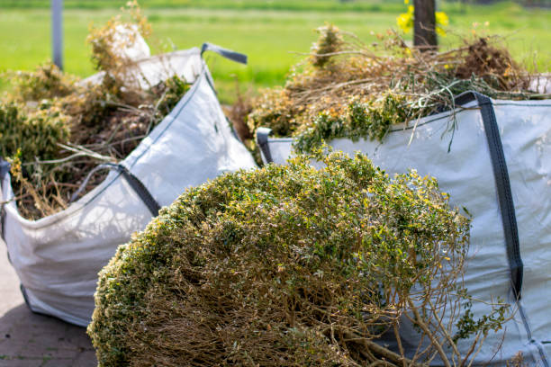 Best Household Junk Removal  in Hastings, MN