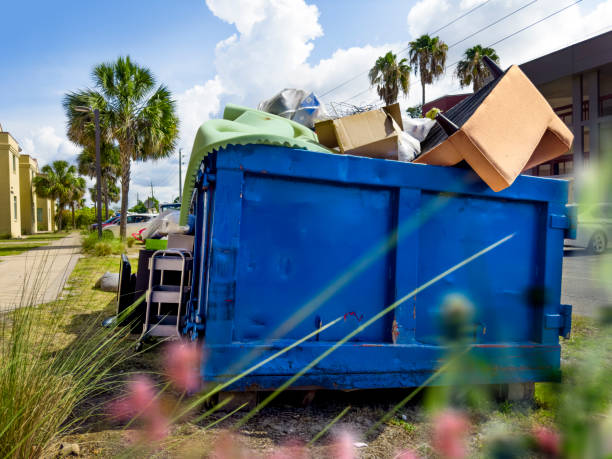 Best Electronics Removal Services  in Hastings, MN